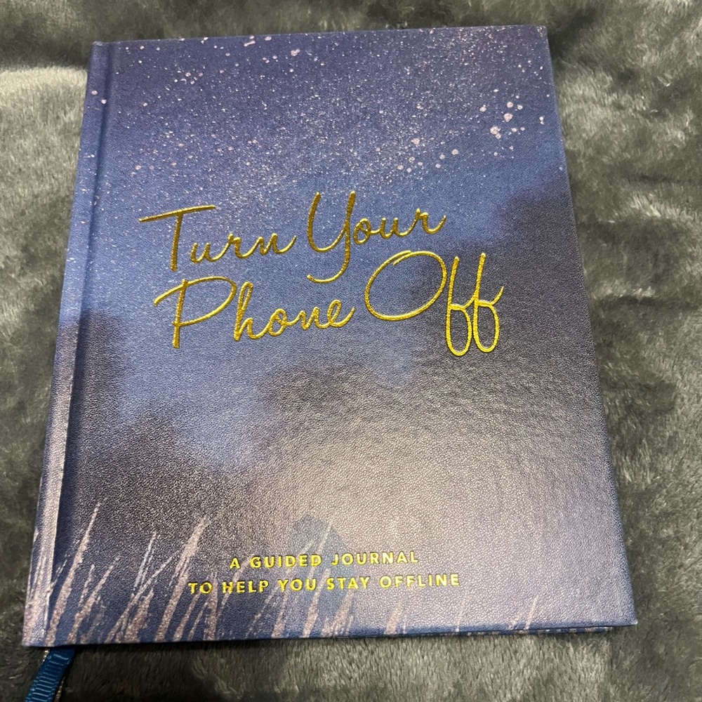 Blue and Gold Guided Journal